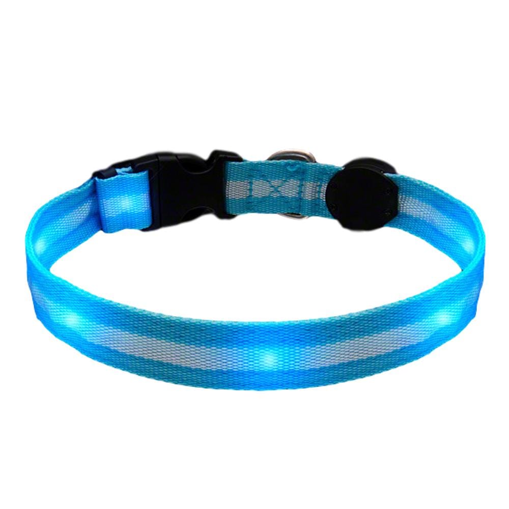 LED Blue Flashing Striped Dog Collar